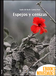 Descargar libro Espejos y cenizas de Saulo de Rode Garma Pool Espejos y cenizas de Saulo de Rode Garma Pool