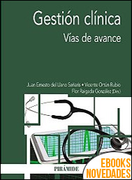 Descargar libro Gestión clínica de Juan del Llano Señarís Gestión clínica de Juan del Llano Señarís