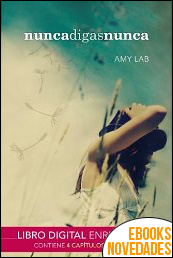 Nunca digas nunca de Amy Lab